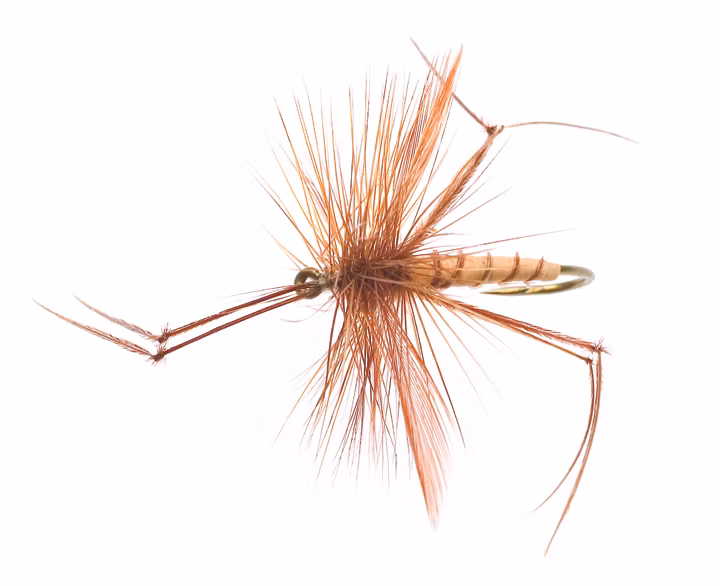Daddy Long legs Tan/Brown TMC 2302 #12