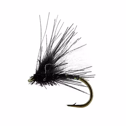 Midge Flash CDC Black TMC212TR #19