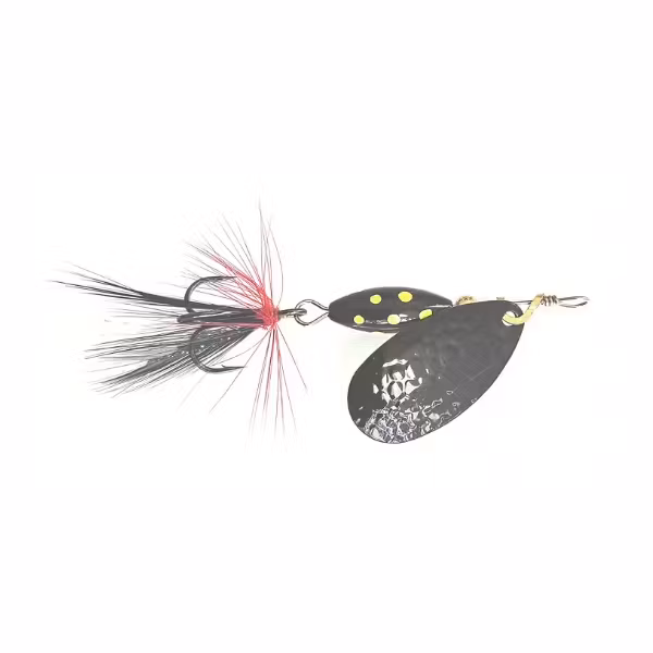 B&G Max Spinnaren
