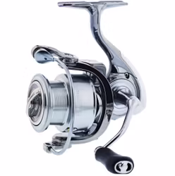 Kinetic Stardust 5+1BB