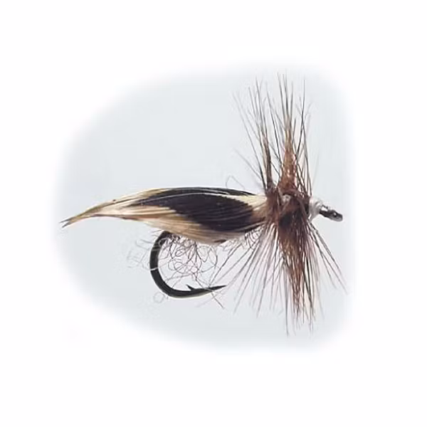 E12 Swedish Model #12