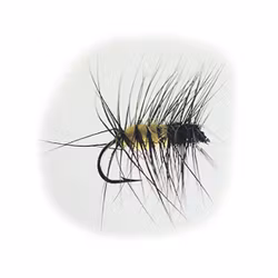 Super Puppan Svart Gul #12