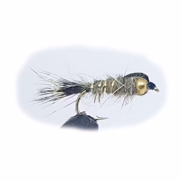 Gold Head Long Shank Special Nymph 2 #12