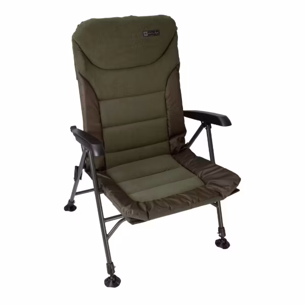 Mikado Enclave Chair