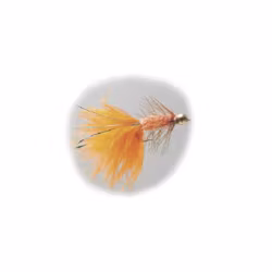 Gold Head Long Shank Nymph Wooly Bugger Orange #10