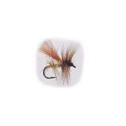 Swedish Series Nalle Puh #12