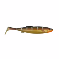 Hurricane Bozoo 20cm