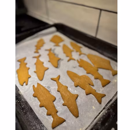 Pepparkaksformar Harr Öring/Lax Sik