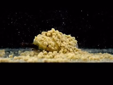 Mikado Method Feeder Shot Q.M.F System L