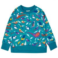 Sweatshirt tröja för barn mönstrad med fåglar - 4-9år ekolologisk bomull Piccalilly