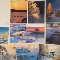 Julkort vintermotiv dubbla - 14st