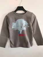Långärmad barn T-shirt tröja grå med blå ek med katt - 5år ekologiska barnkläder