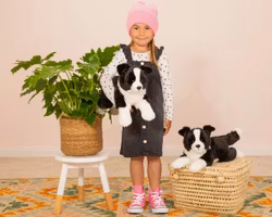Mjukisdjur Gosedjur Stor Hund Border collie ligganade 45cm Teddy Hermann