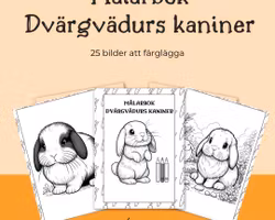 Målarbok för barn Dvärgvädurs kaniner - 25 sidor