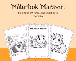 Målarbok för barn Marsvin - 25 sidor som du skriver ut hemma
