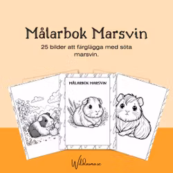 Målarbok för barn Marsvin - 25 sidor som du skriver ut hemma