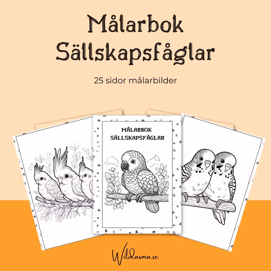 Målarbok, skriv ut hemma, ladda ner PDF. pyssla med barnen. Sällskapsfåglar