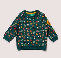 Sweatshirt tröja för baby/barn Woodland -9mån - 3år ekologisk bomull