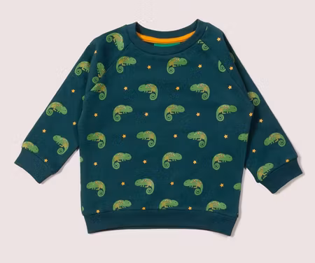 Sweatshirt tröja för Barn i Raglanmodell – Ödla 9mån-8år ekologisk bomull