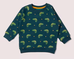 Sweatshirt tröja för Barn i Raglanmodell – Ödla 9mån-8år ekologisk bomull