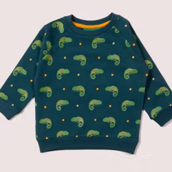 Sweatshirt tröja för Barn i Raglanmodell – Ödla 9mån-8år ekologisk bomull