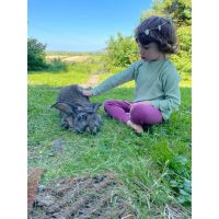 Myskläder Tröja + byxor våfflad eko bomull Salvia grön barn/vuxen 1år - Large