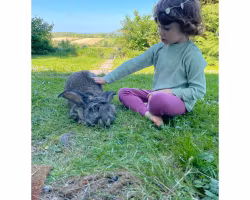 Myskläder Tröja + byxor våfflad eko bomull Salvia grön barn/vuxen 1år - Large
