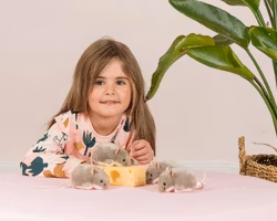 Mjukisdjur Grå gosedjurs mus 9cm från Teddy Hermann – En liten vän med stor personlighet