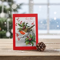 Julkort Rödhake - Paket 10st dubbla kort med kuvert