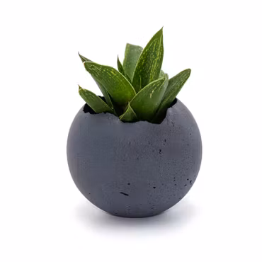 Konzuk Orbis Vessel Large