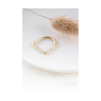 Clare Minimal D Ring Brass
