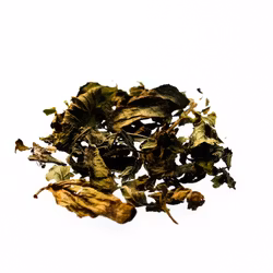 Pepparmynta