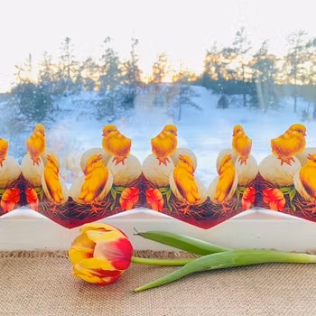 Pappersrader Kyckling på Ägg