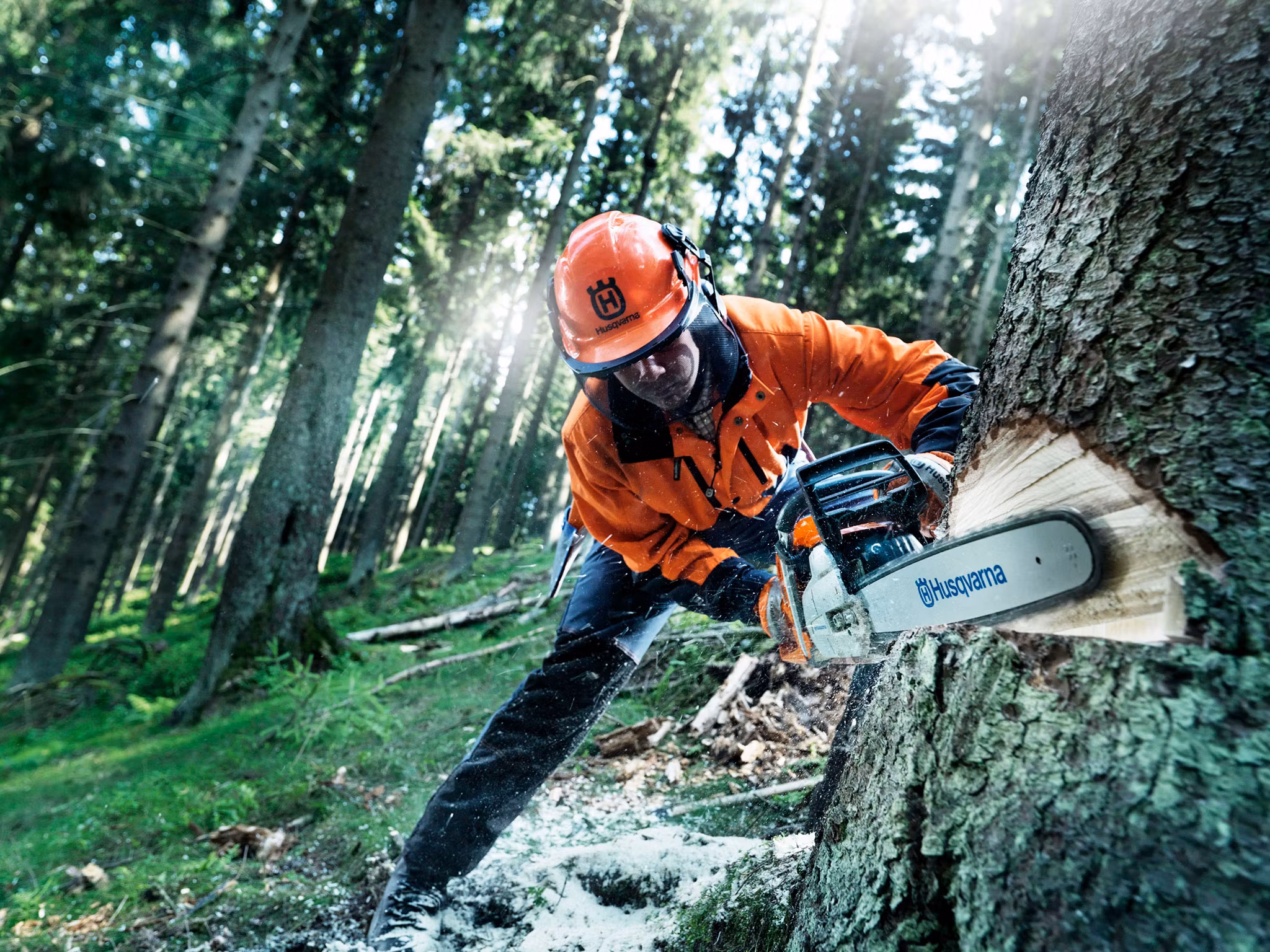 HUSQVARNA 560 XP® G