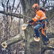 Husqvarna riggningsrep