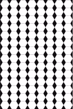 PREXIT 13 Antique black and white