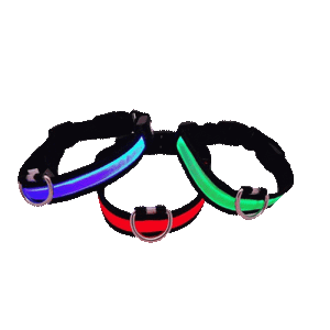 EYENIMAL Blinkande halsband med USB laddning