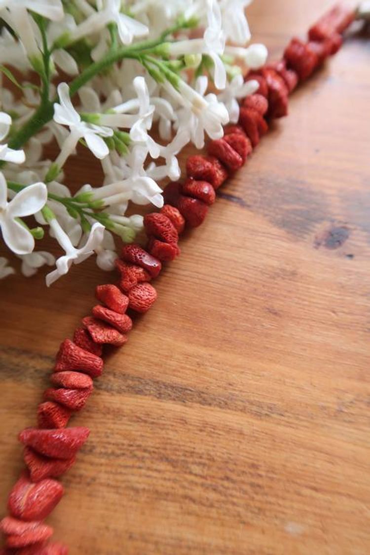 Rött halsband