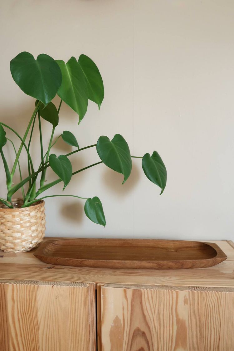 Avlång bricka teak