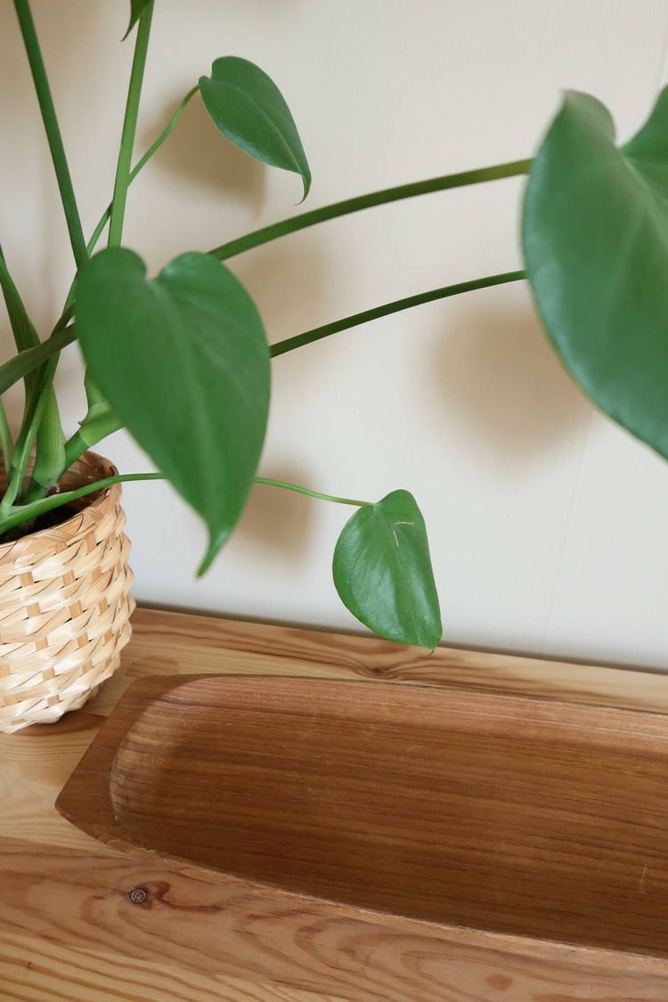 Avlång bricka teak