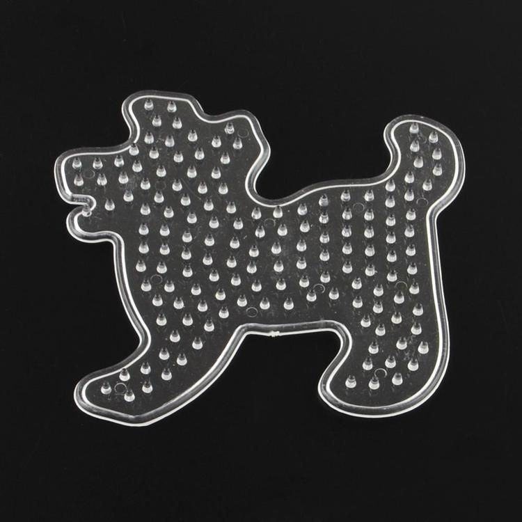 Pärlplatta, Hund