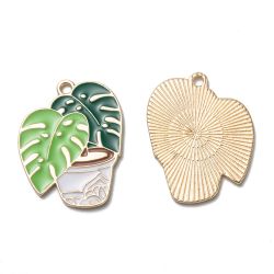 Planta, Berlock, 2st