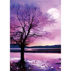 Diamond Painting Canvas, Natt, 30x40cm