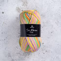 Svarta Fåret Sox Merino 4 ply, 100g Jellybean Row