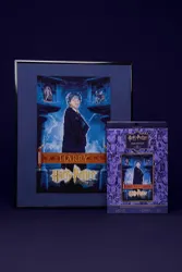 DMC Harry Potter – Korsstygnskit Harry Potter-filmposter