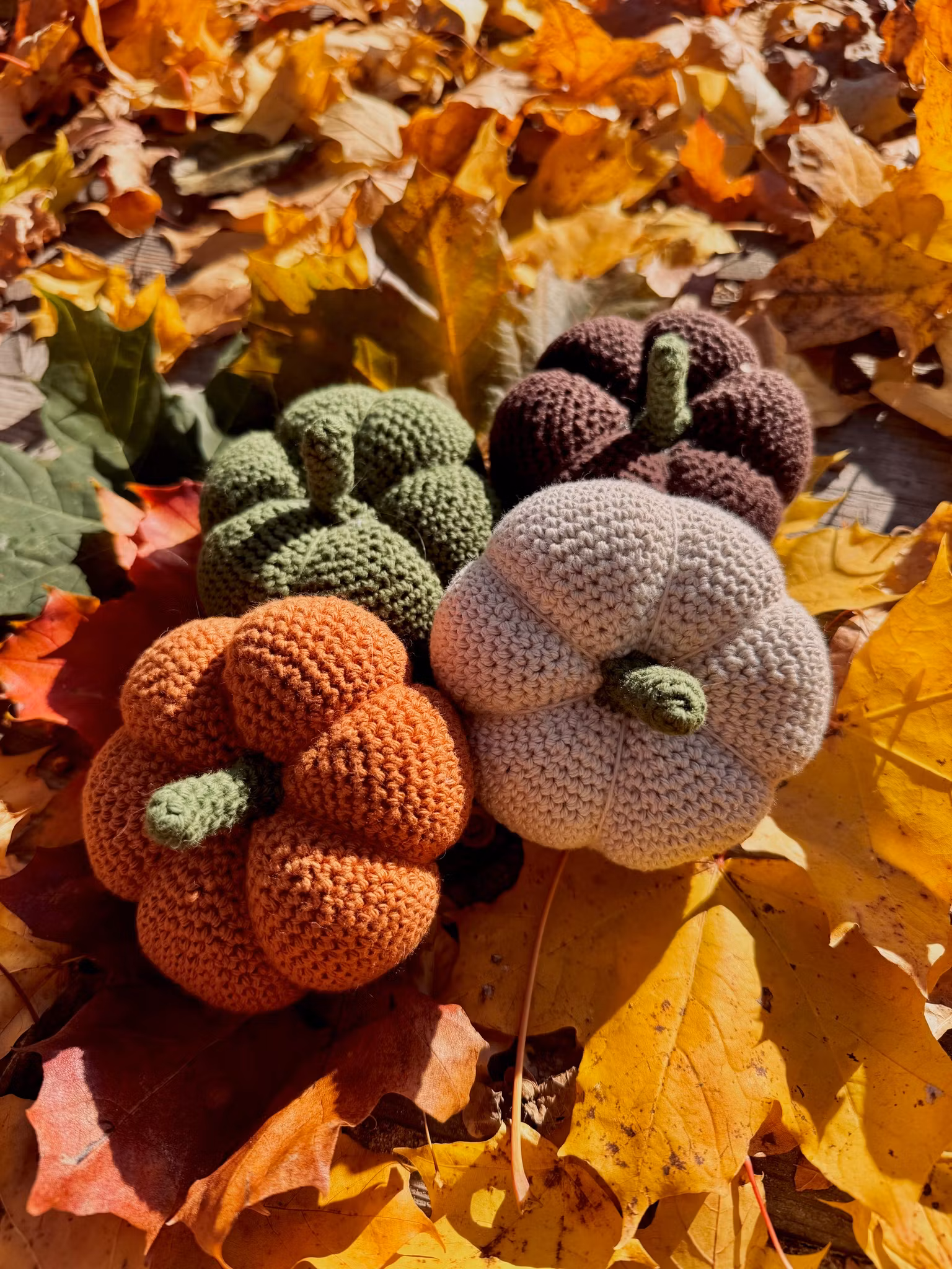 Pumpa