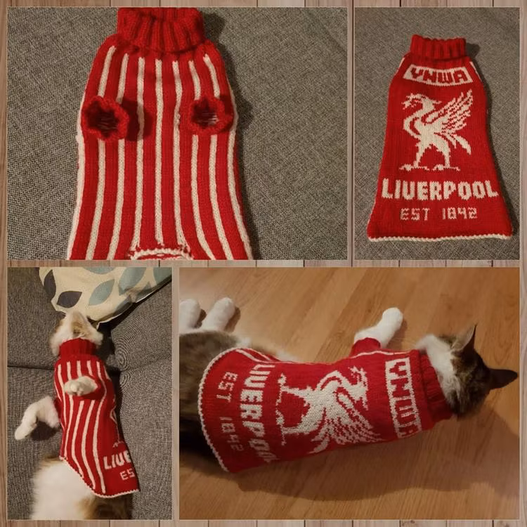 Mønster på hundegenseren : Birdie