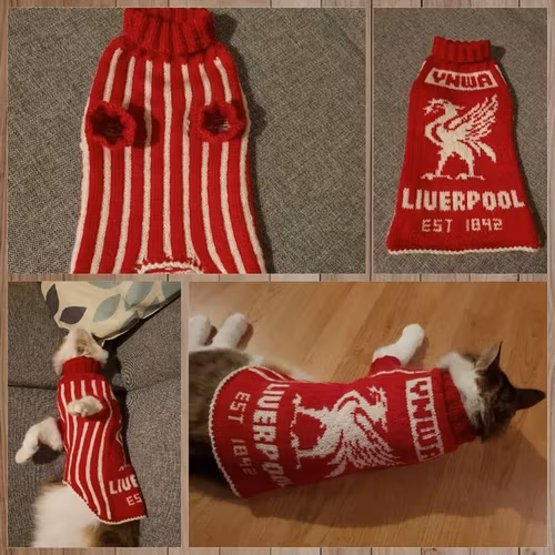 Mønster på hundegenseren : Birdie