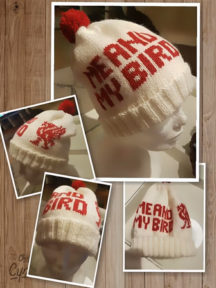 Mønster på luen : Me and my bird