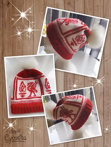 Mønster på luen : Red birdies